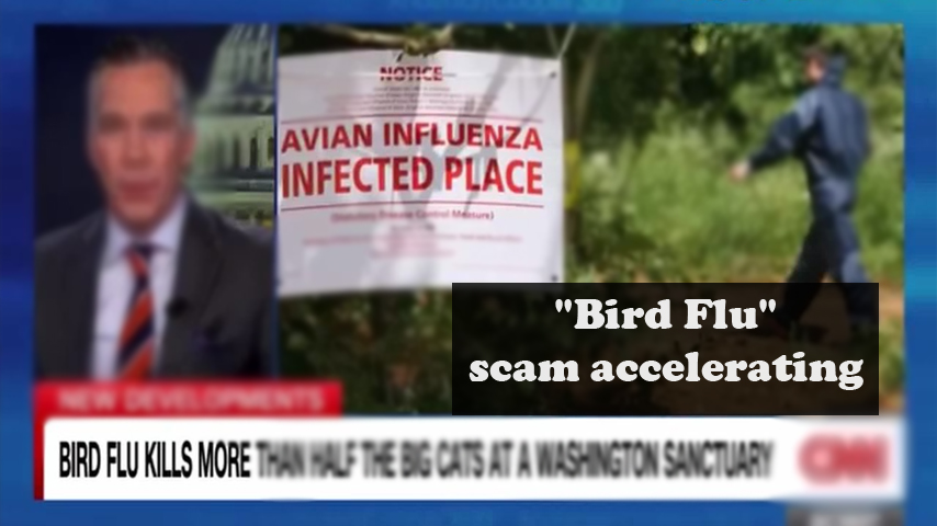 “Bird Flu” scam accelerating